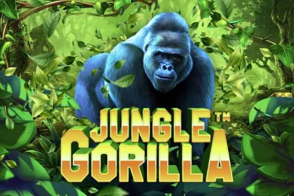 Jungle Gorilla Modal Kecil Hasil Melintir